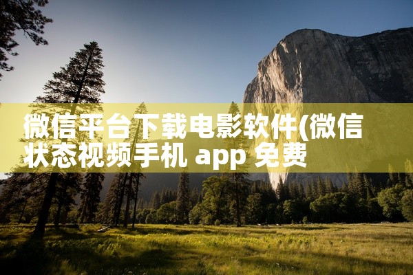微信平台下载电影软件