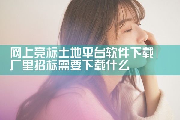 网上竞标土地平台软件下载