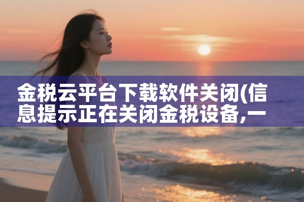 金税云平台下载软件关闭