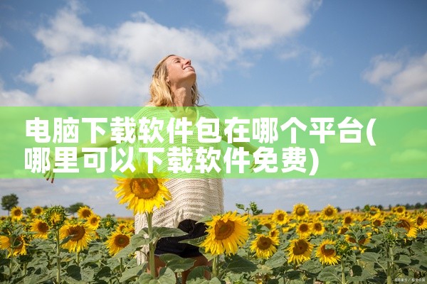电脑下载软件包在哪个平台