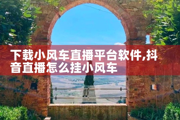 下载小风车直播平台软件