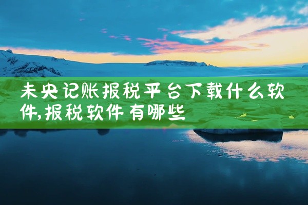未央记账报税平台下载什么软件