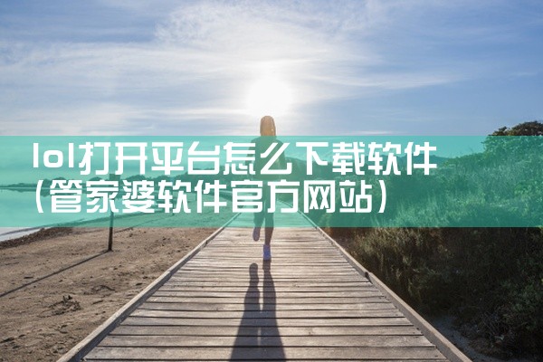 lol打开平台怎么下载软件