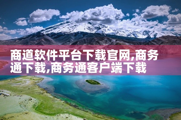商道软件平台下载官网