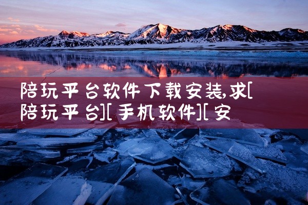 陪玩平台软件下载安装