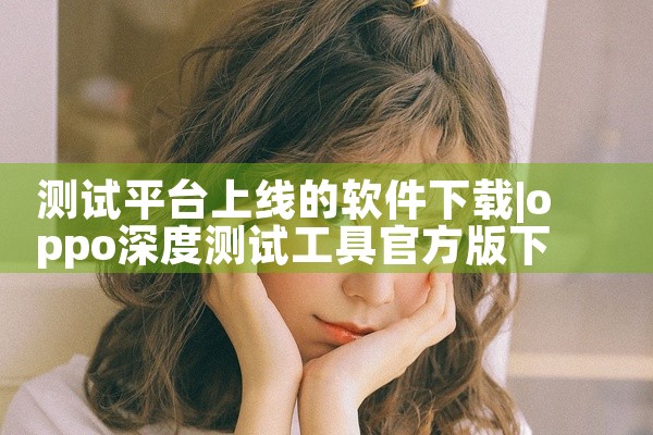 测试平台上线的软件下载