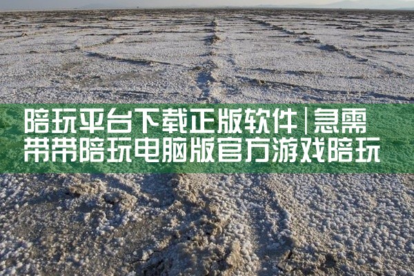 陪玩平台下载正版软件